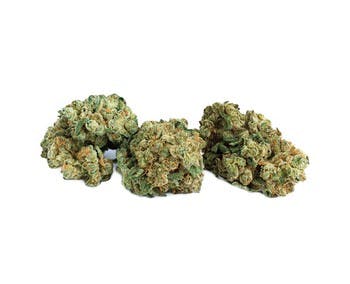 Cocoa Bomba | FOUR20 (Canmore)