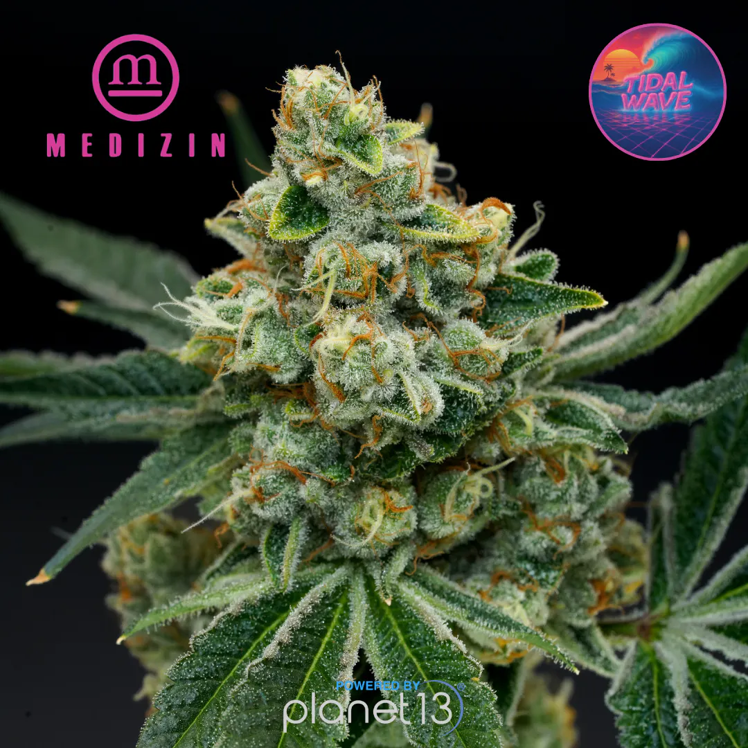 Medizin Las Vegas