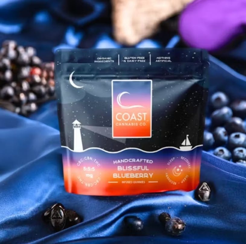 プルメリア　Golb Coast Cotton Candy Gold Coast Cotton Candy Plumeria