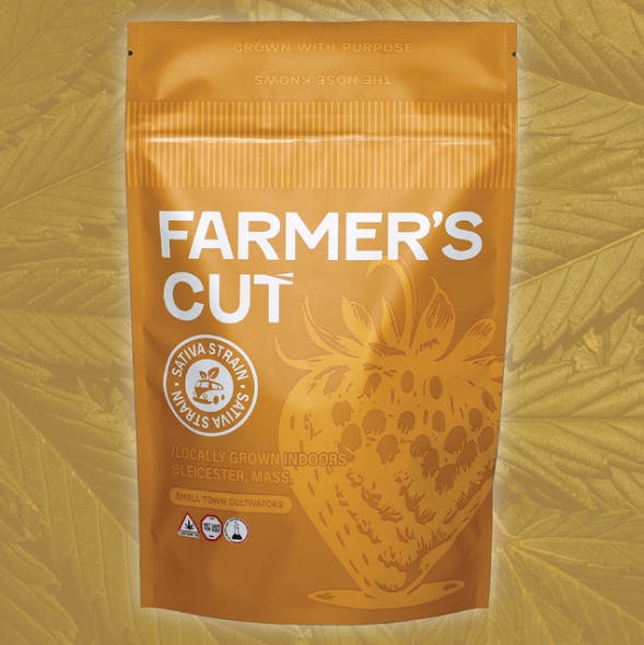Product: Maui Magilla Glue [28g]