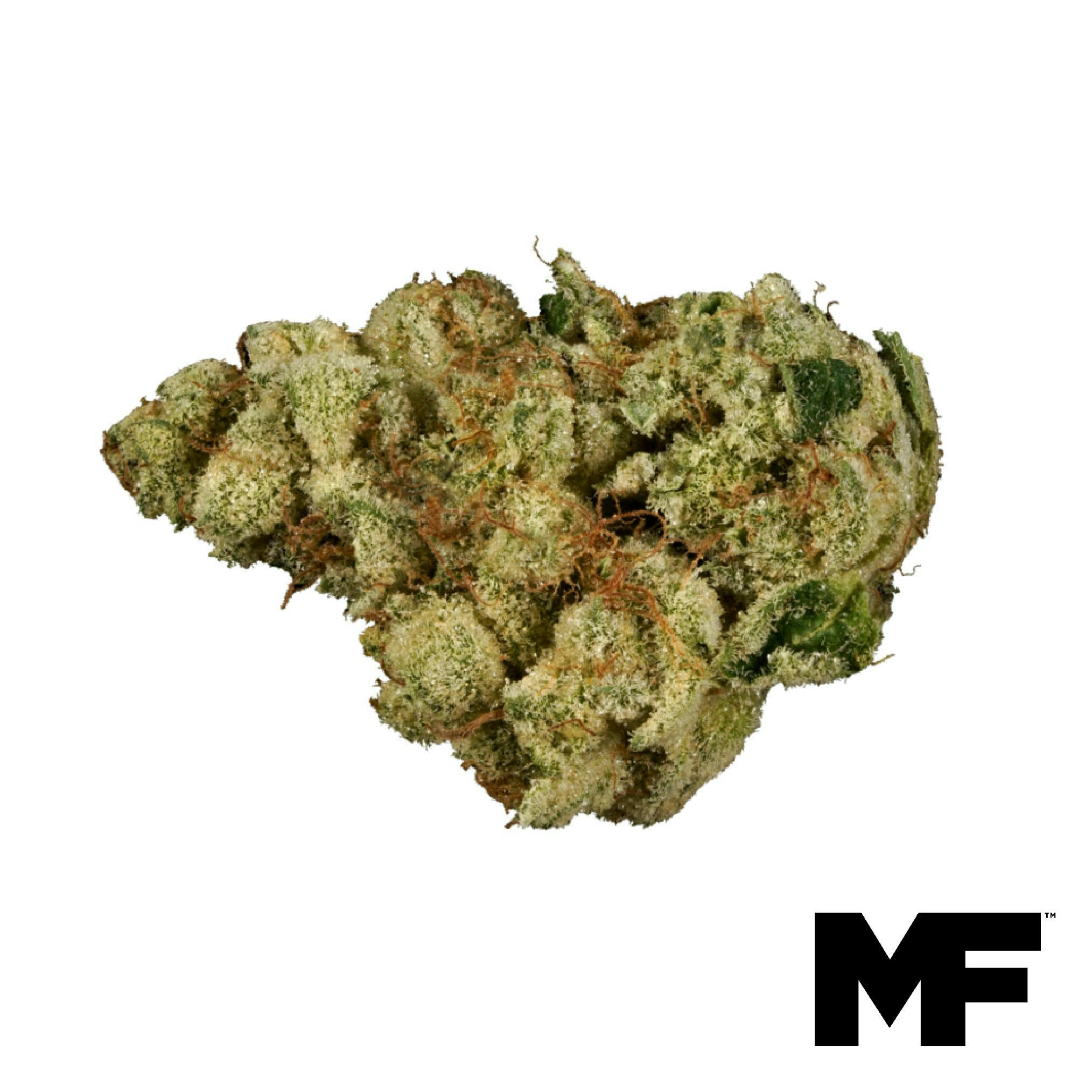 Singapore Sling #9 Flower