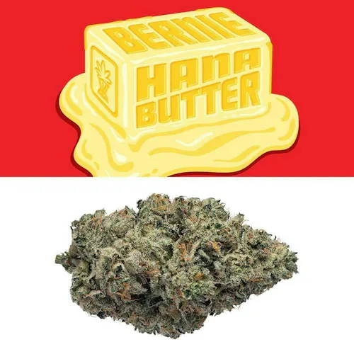 Cookies – Bernie Hana Butter – Indoor – Flower Tub – 3.5g-1
