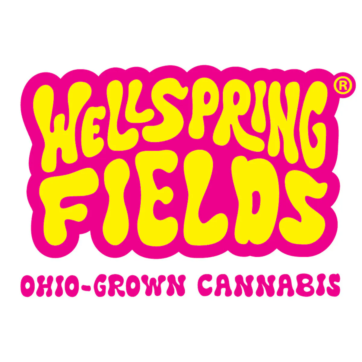ほぼ新品 Kapital フラワーウエストポーチ WEED 420 Mission Worcester (Medical)
