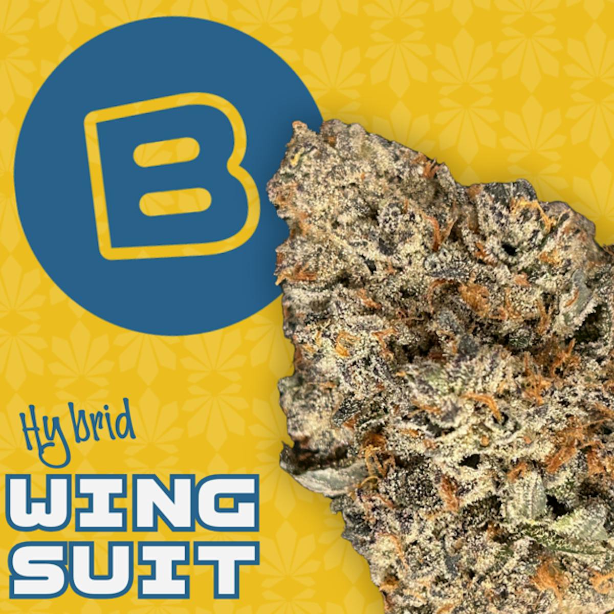 Photo of Wingsuit | 2.83g