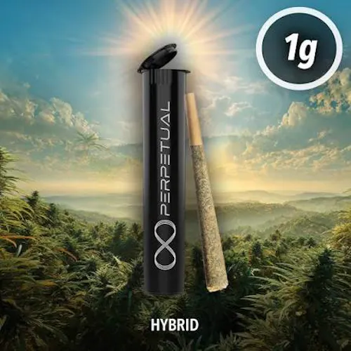 Poppins (H) – (1g) – Pre-Roll-active