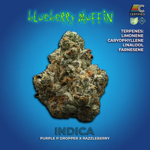 Certified Cultivators - Blueberry Muffin #3 - 3.5g at UpLift - Milford
