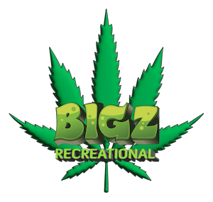 Bigz Recreational Bag | Jungle Diamond