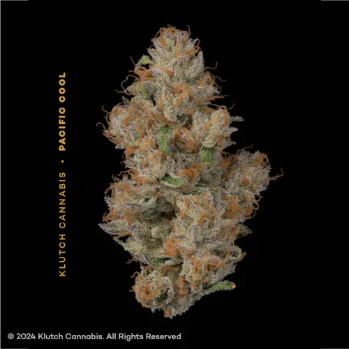 Klutch: Pacific Cool – 2.83g-1