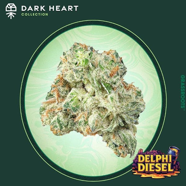 Delphi Diesel (S) - 14g Popcorn Flower - Grassroots x Dark Heart
