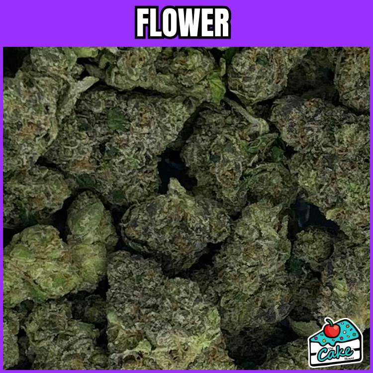 Hytek - Flower - Gelato 33