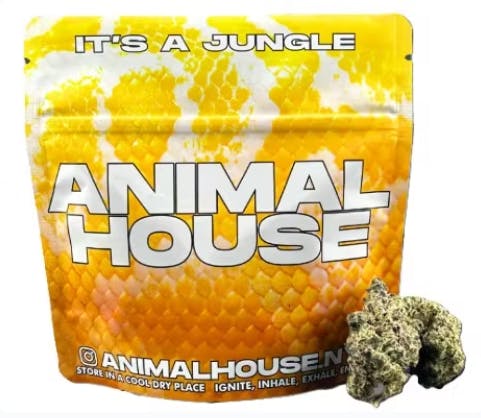 AH Government Oasis Small Buds 5g