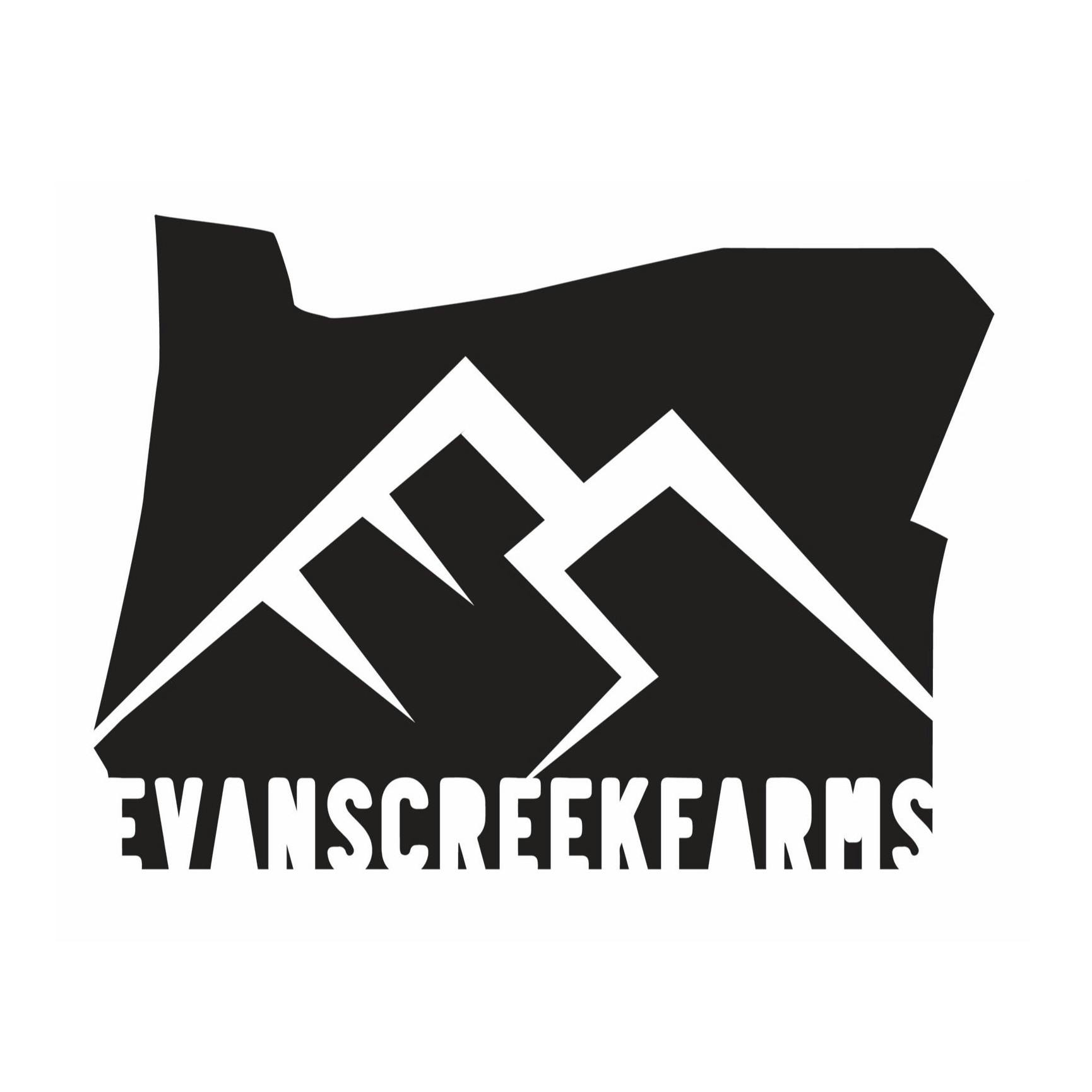 Photo of 707 Headband (Evans Creek)