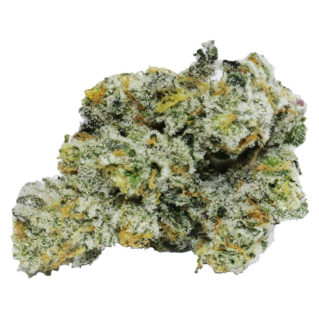 【やま】ダーバン エイリアン GMO サワーアムネシア 計20ml Sour Amnesia 大麻の種子 - Hortilab Seeds