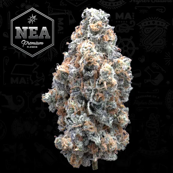 Northeast Alternatives - Fall River - Medical