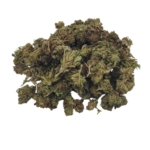 Orange Cream Pop Sungrown-1