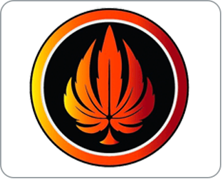 logo for NYCCE