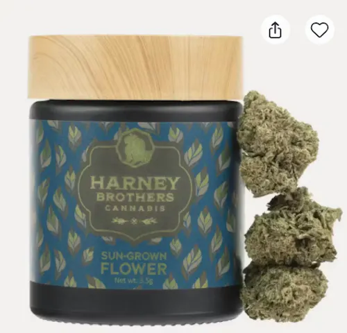 HARNEY BROTHERS | FLOWER | HULKBERRY-active
