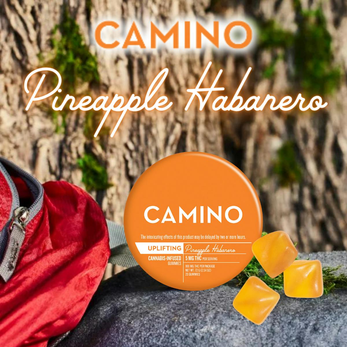 Photo of Camino Pineapple Habanero ‘Uplifting’ 5mg 20 pk