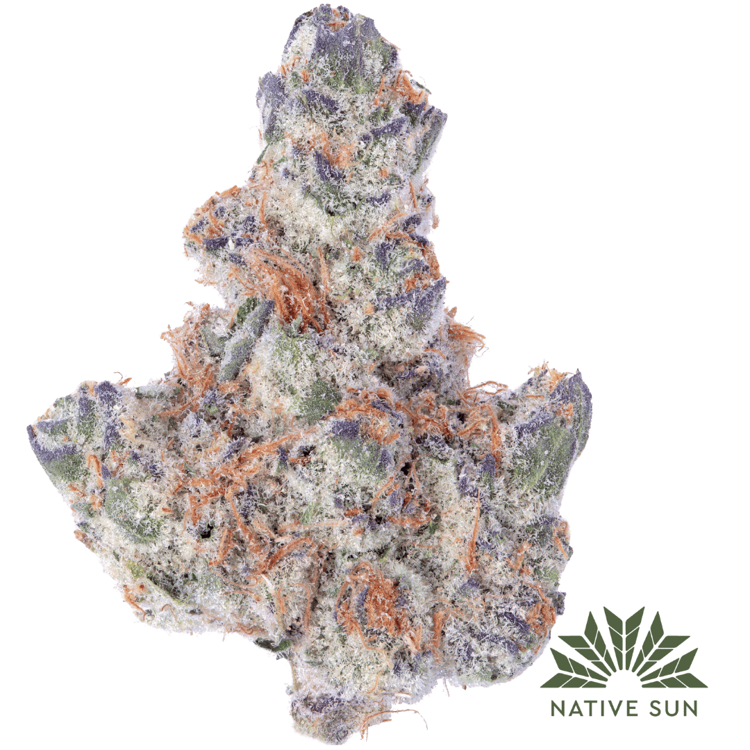 Native Sun Chocolate Pie | Flower | 3.5g - Native Sun Cannabis