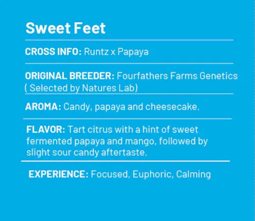 Sweet Feet – 73-90u-2
