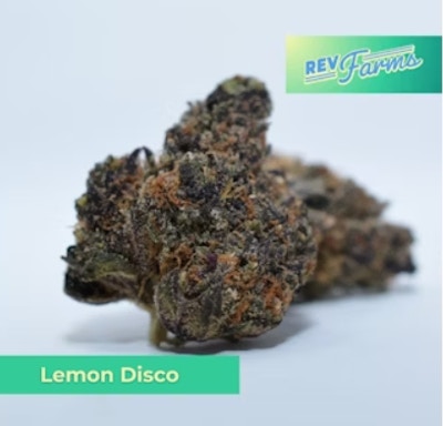 Product Lemon Disco Buds