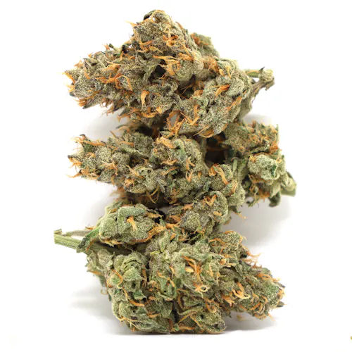 Skunk – Pakalolo-1