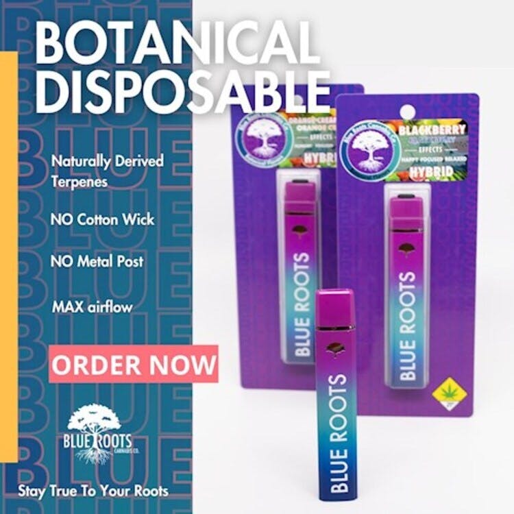can you buy flavored vapes in georgia MELO Georgia Peach Vape | Disposable Diffuser