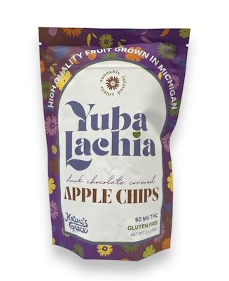 Product NGW Yubalachia Dark Chocolate Covered Apple Chips
