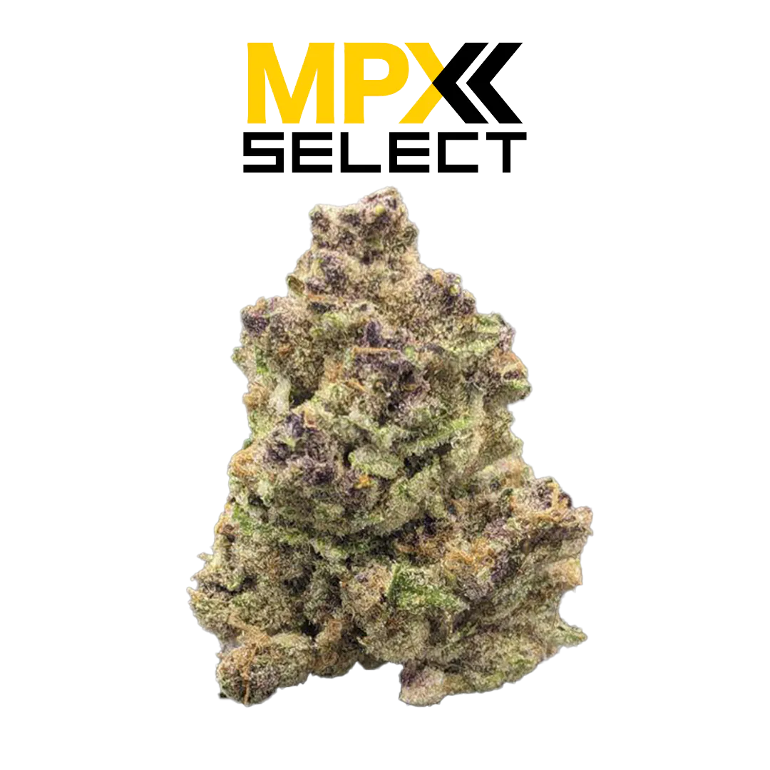Cannabis Dispensary in Tampa, FL | Open Daily
