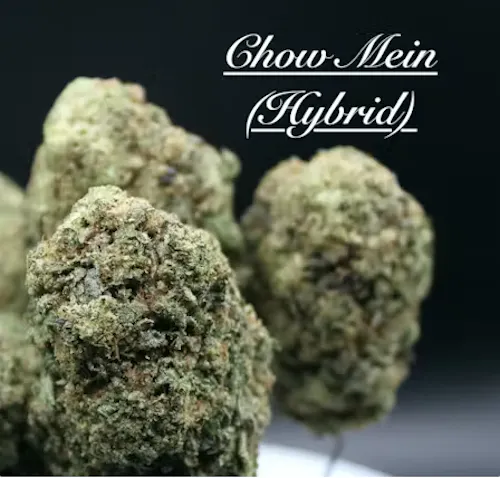 Chow Mein (H) – (3.5g) Flower-1