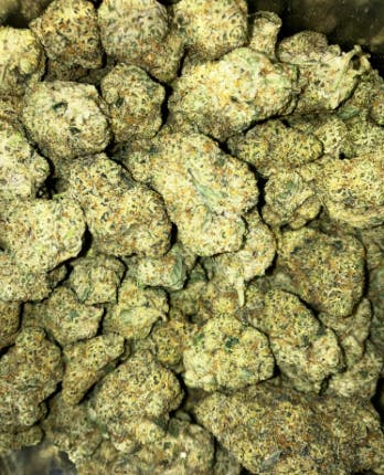 Fire As Fuck | Panda