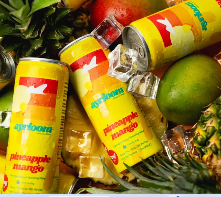Product Ayrloom | Pineapple Mango | Beverage | 12oz | 10mg