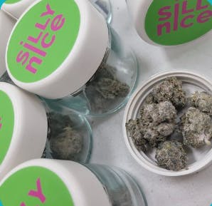 Silly Nice - Frosted Infused Flower by SiLLY NiCE