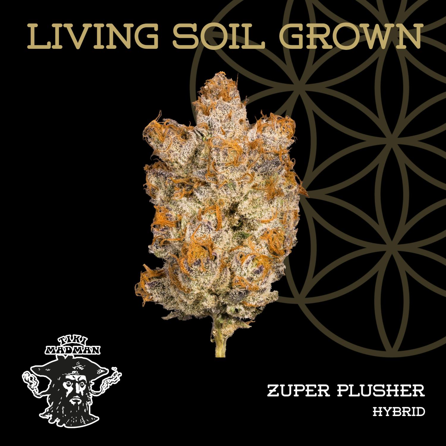 Flower of Life | Bulk Bud - Zuper Plushers