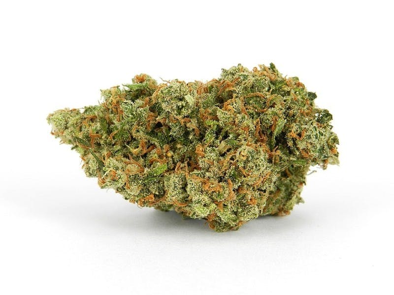 Photo of Popcorn Shelf – Jack Herer (S)