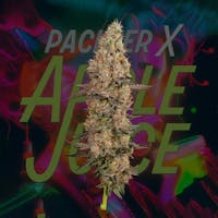 Product Pacifier x Apple Juice | Bulk Flower