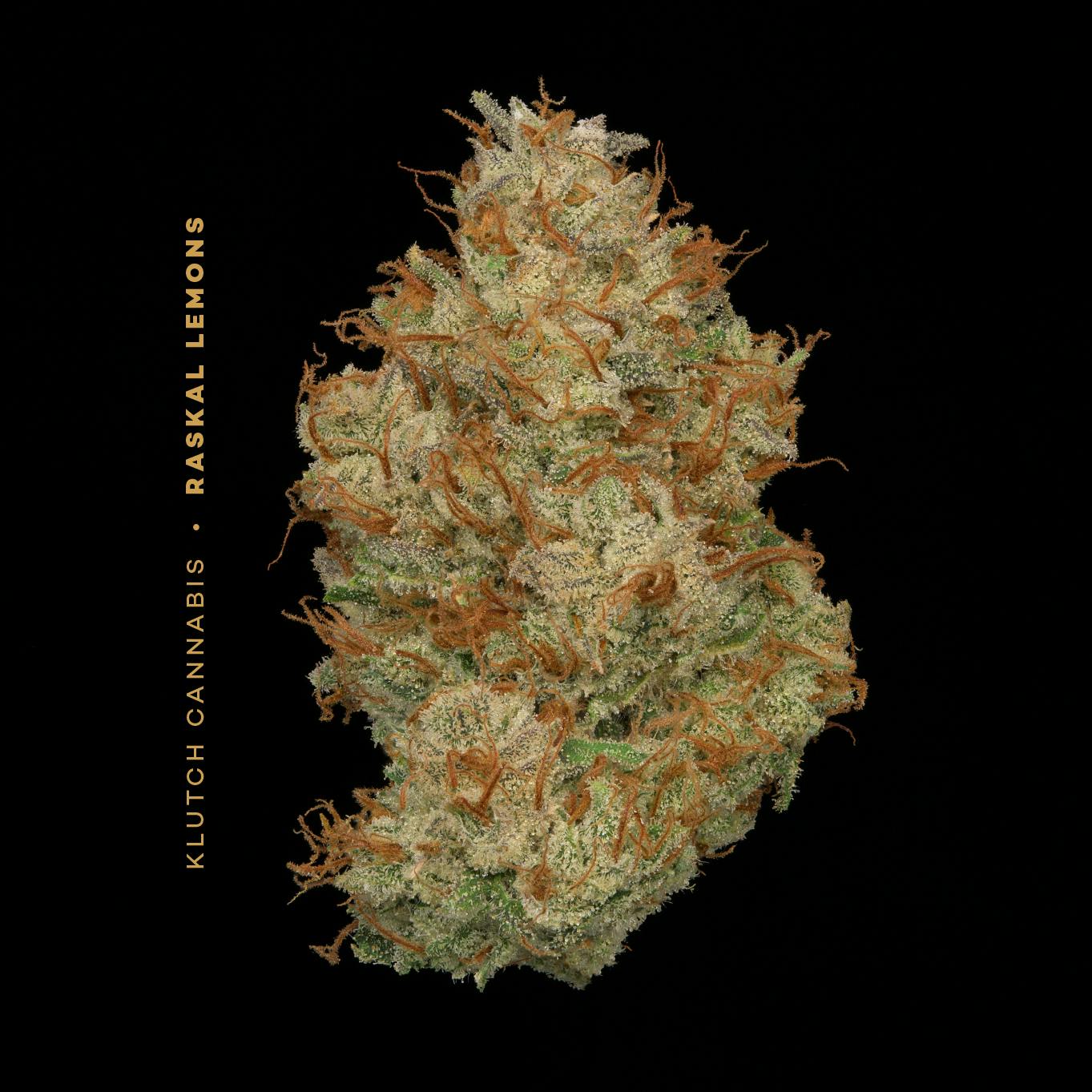 Raskal Lemons | 14.15g Flower | Klutch