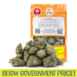 Below Gov! category image