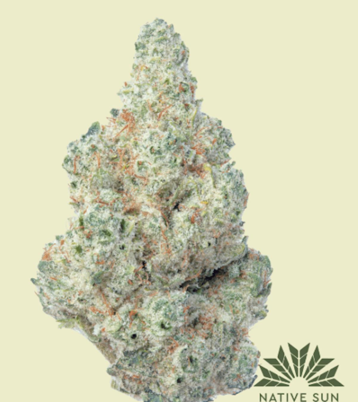 Image of Elmers Glue – 3.5g Flower – Devils Lettuce