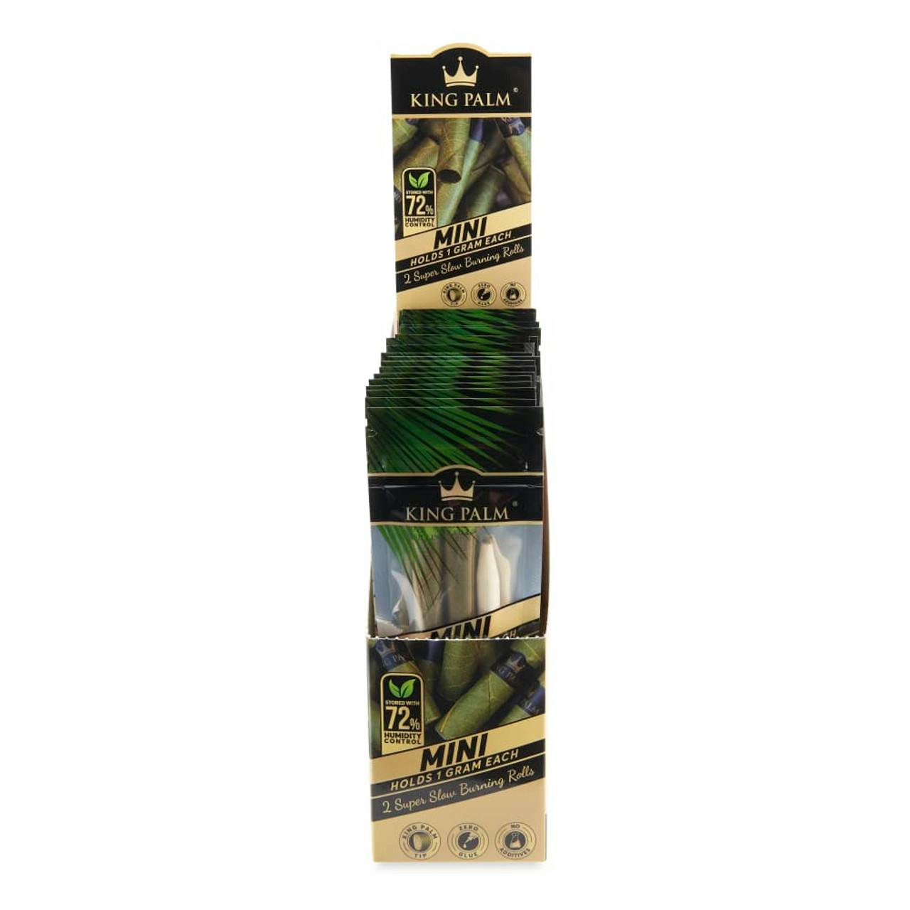 KING PALM MINI: 2PK