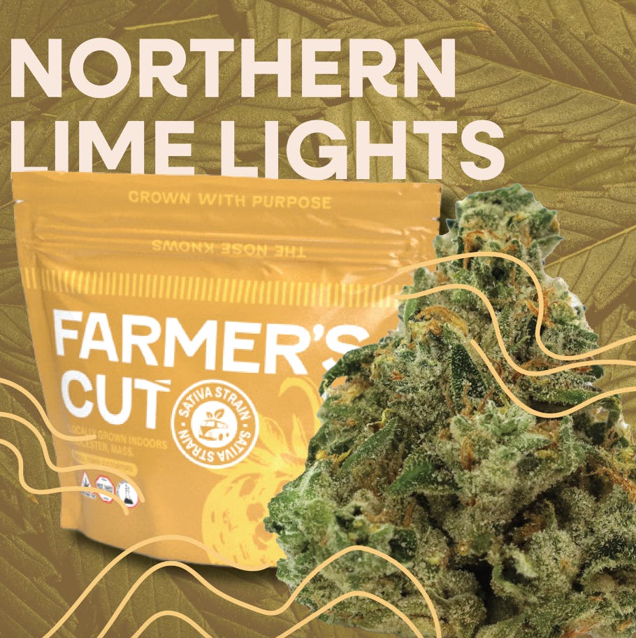 Product Northern Lime Lights - Flower