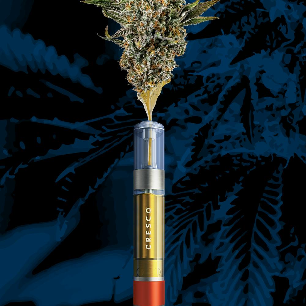 Product Image Alt