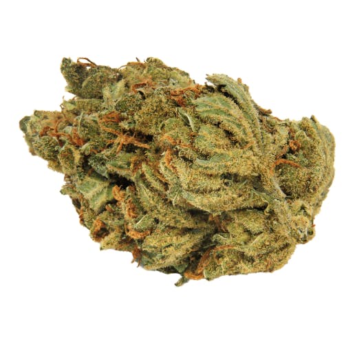 GATSBY CANNABIS CO. GATSBY CANNABIS CO. | TANGIE BANANGIE INDICA-HYBRID — PRE_ROLLS