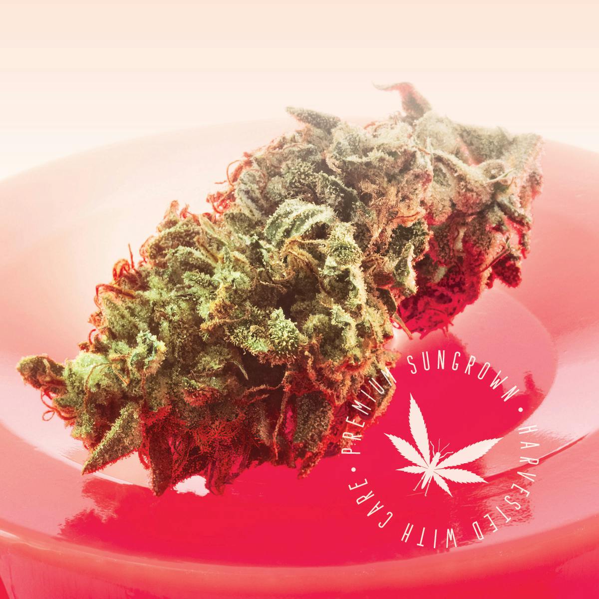 Product: Grasshopper Farms | Red Pop | Indica | Bulk Flower | BRONZE