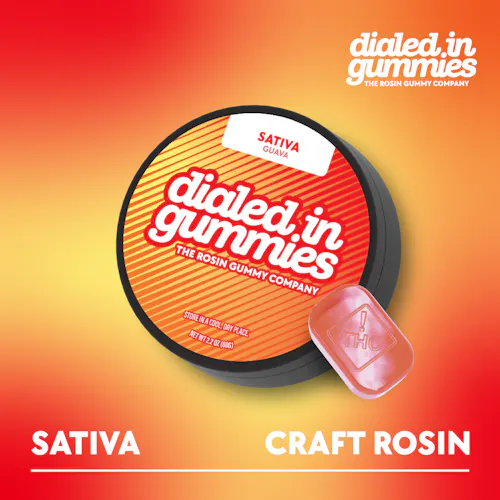 100mg – Guava – Rosin Gummies (10pk)-active