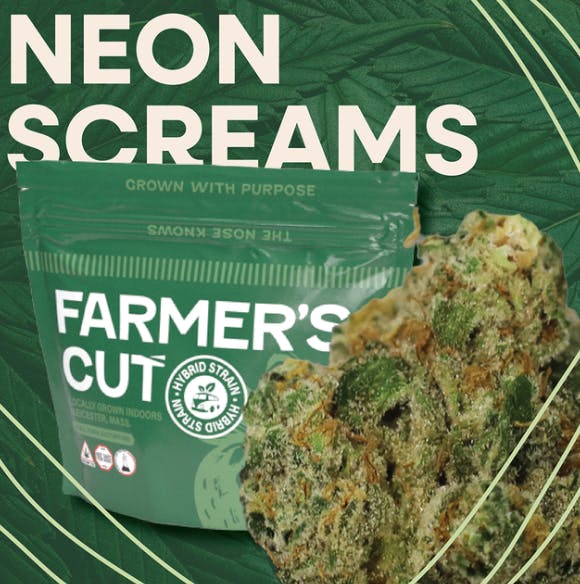 Product: Neon Screams