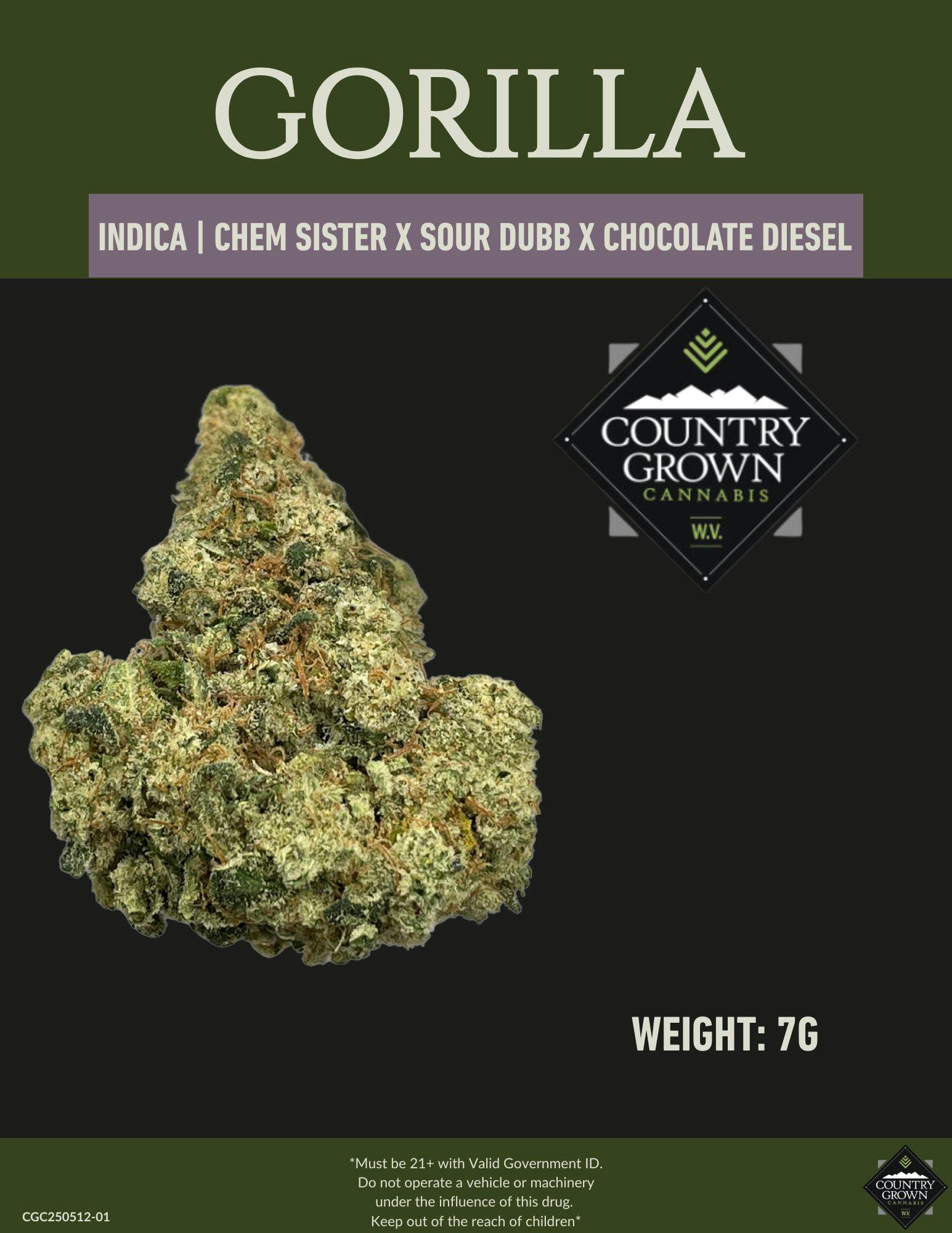 Gorilla