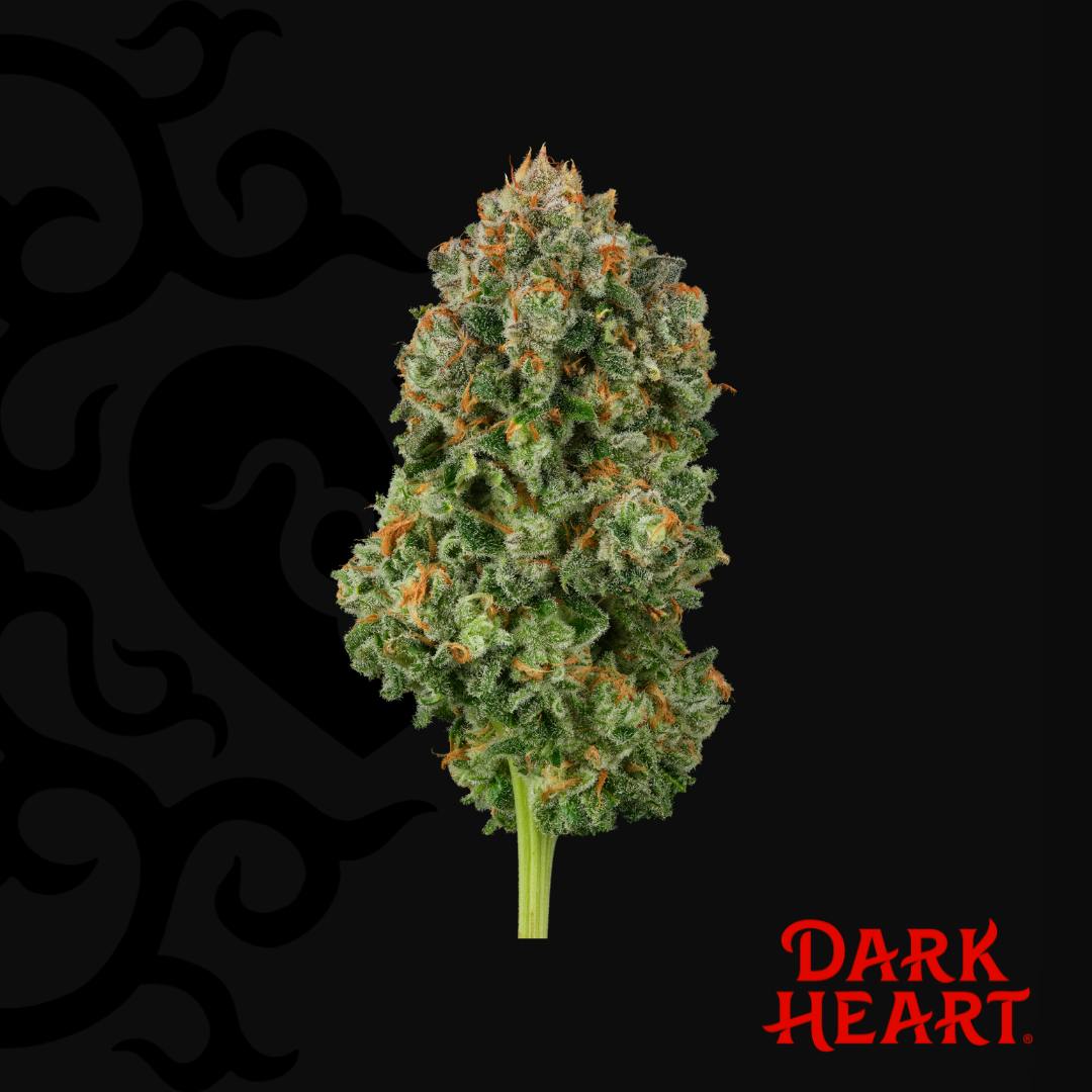 Blackened Blue Whole Flower