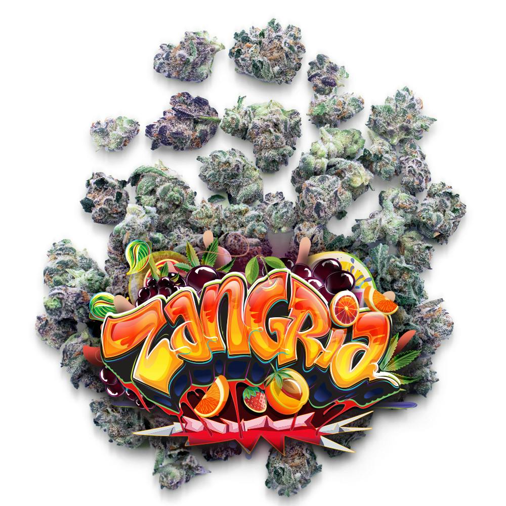 Shop Zangria - Pops in Palm Harbor | Jungle Boys