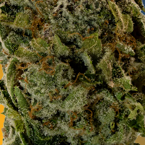 Deli Style | Dirty Mike – Hybrid-3